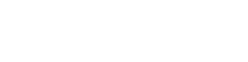 Universidad Nacional Delsur